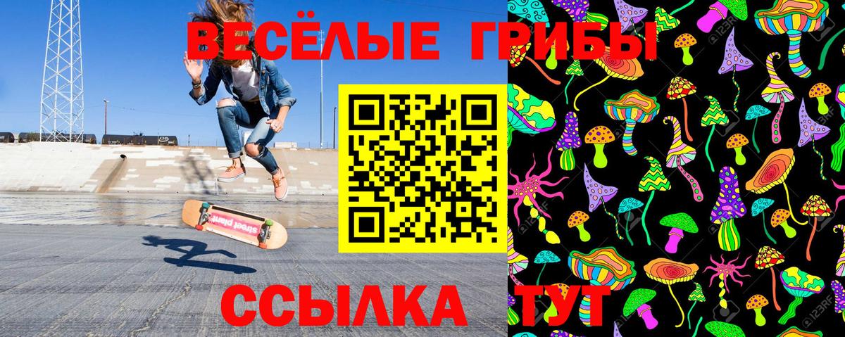 Псилоцибиновые грибы Cubensis Бердск