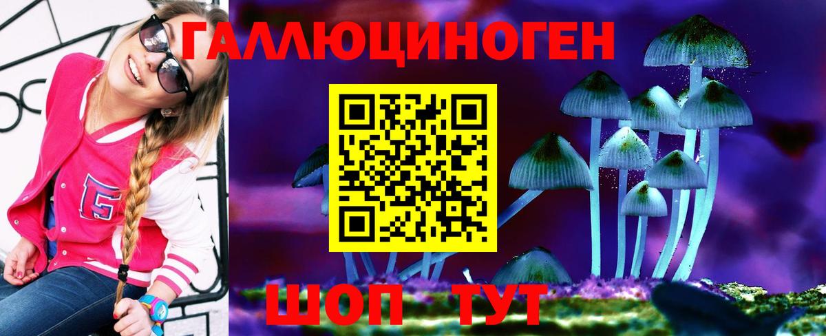 Галлюциногенные грибы мухоморы  Галлюциногенные грибы Magic Shrooms  Бердск  Вход с VPN 
